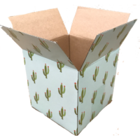 Box_cactus_5x5x5_box