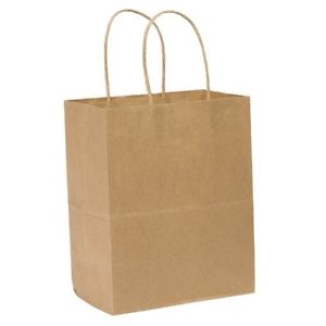 Shopping / Take Out Bag with Twisted Handle - Kraft